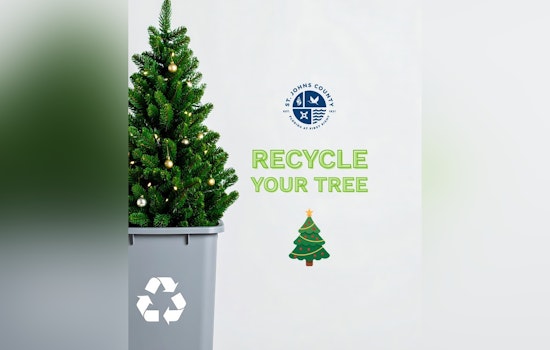St. Johns County Launches Free "Treecycling" Program for Christmas Tree Mulching