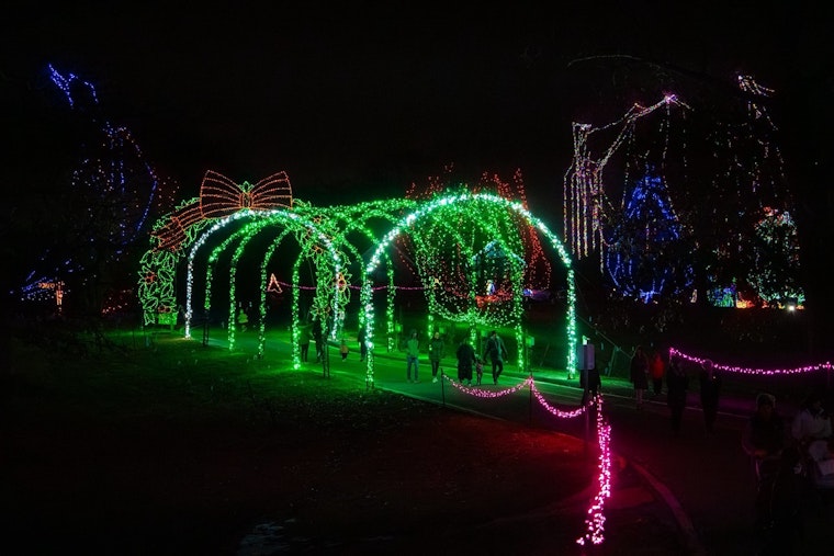 St. Louis County's 'Winter Wonderland Picture Nights' Conclude, Drive-Through Light Spectacle Continues Through January 3