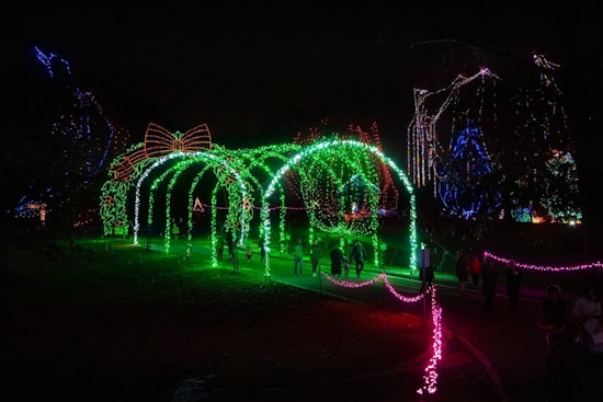 St. Louis County's 'Winter Wonderland Picture Nights' Conclude, Drive-Through Light Spectacle Continues Through January 3