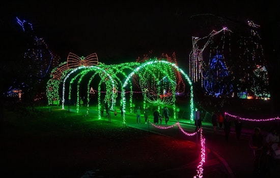 St. Louis County's 'Winter Wonderland Picture Nights' Conclude, Drive-Through Light Spectacle Continues Through January 3