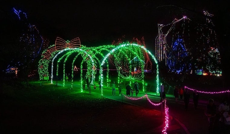 St. Louis County's 'Winter Wonderland Picture Nights' Conclude, Drive-Through Light Spectacle Continues Through January 3