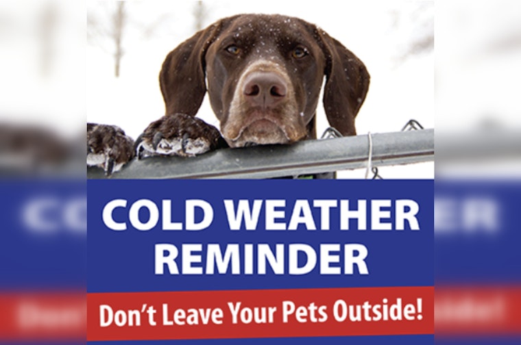 St. Peters Animal Control Warns Pet Owners to Shield Their Pets from the Bitter Cold Ahead