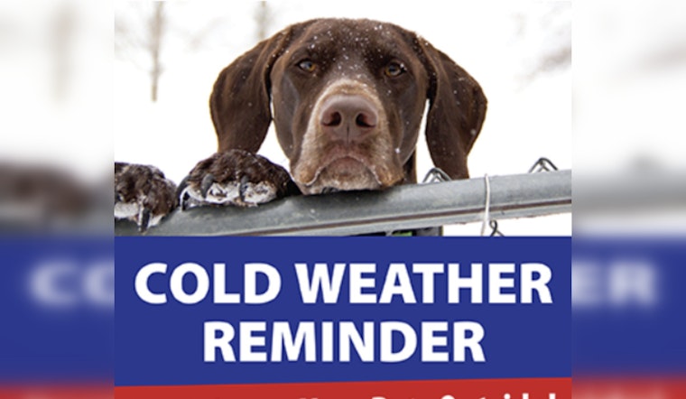 St. Peters Animal Control Warns Pet Owners to Shield Their Pets from the Bitter Cold Ahead