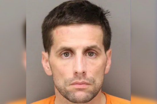 St. Petersburg Man Charged with Animal Cruelty for Killing Pet Birds, Resisting Arrest