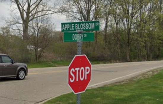 Sterling Heights Police Fatally Shoot Man Who Pointed Gun at Officers During Welfare Check