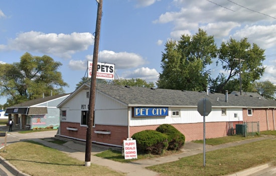 Stolen Yorkie Pup Safely Returned to Ypsilanti Pet Store After Alleged Theft