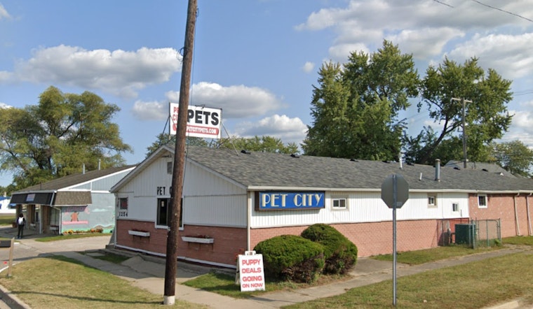 Stolen Yorkie Pup Safely Returned to Ypsilanti Pet Store After Alleged Theft