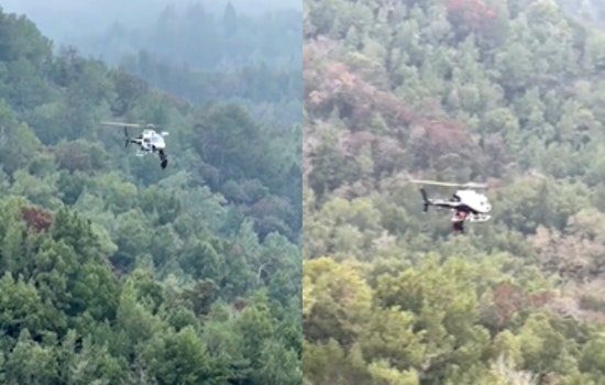 Stranded Marin Hiker Snatched Off Yolanda Trail in Daring Airlift
