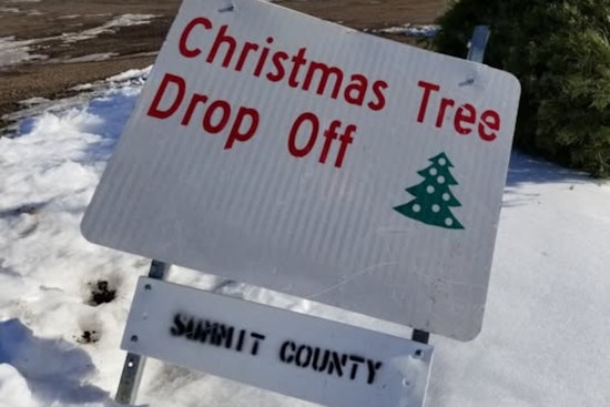 Summit County, Utah Launches Christmas Tree Recycling Initiative for Sustainable New Year
