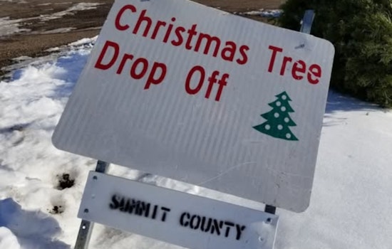 Summit County, Utah Launches Christmas Tree Recycling Initiative for Sustainable New Year