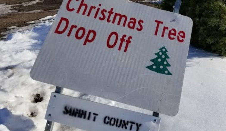 Summit County, Utah Launches Christmas Tree Recycling Initiative for Sustainable New Year