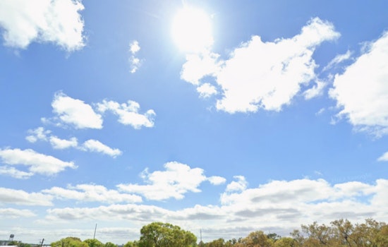 Sunny Skies and Pleasant Temperatures Grace Tampa This Week, NWS Reports