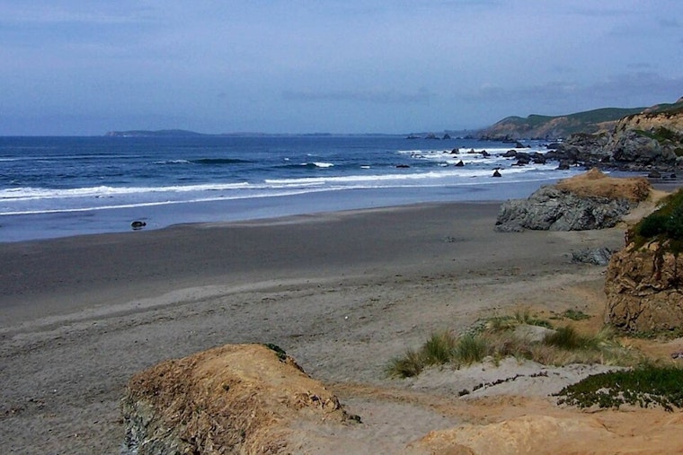 Surfer Escapes Unhurt After Shark Encounter Off Dillon Beach, Marin County Authorities Urge Caution Amid Increased Shark Activity