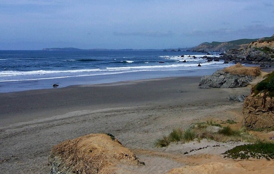 Surfer Escapes Unhurt After Shark Encounter Off Dillon Beach, Marin County Authorities Urge Caution Amid Increased Shark Activity
