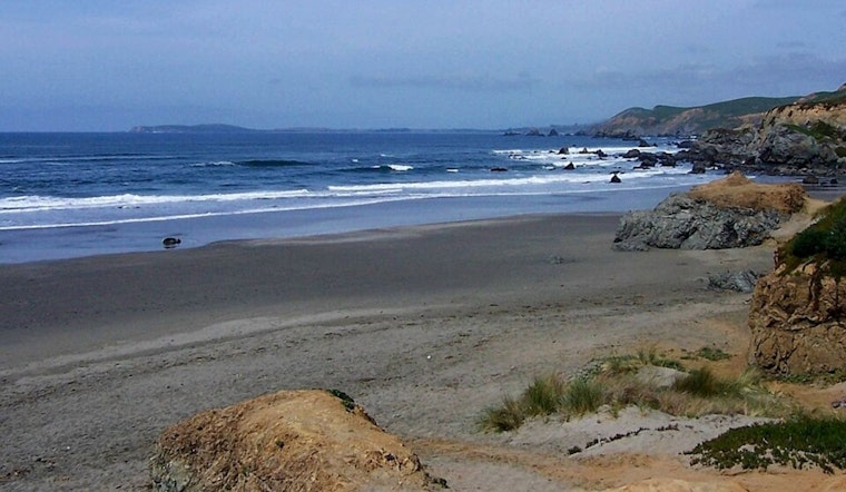 Surfer Escapes Unhurt After Shark Encounter Off Dillon Beach, Marin County Authorities Urge Caution Amid Increased Shark Activity