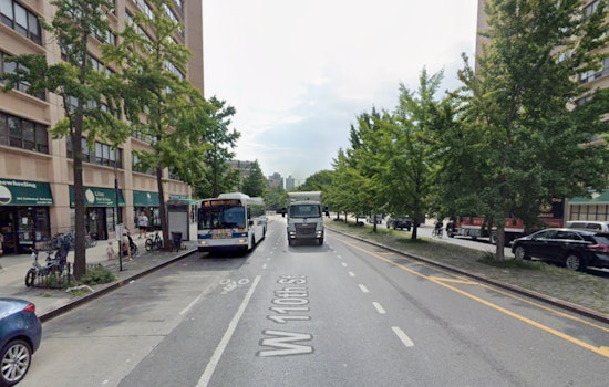 Suspect Detained in Connection with Sexual Assault of Teen in New York's Central Park