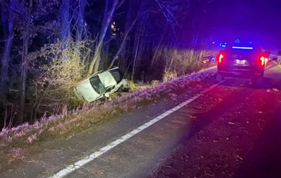 Suspected Tennessee Attempted Murder Fugitive Arrested after High-Speed Chase in Georgia