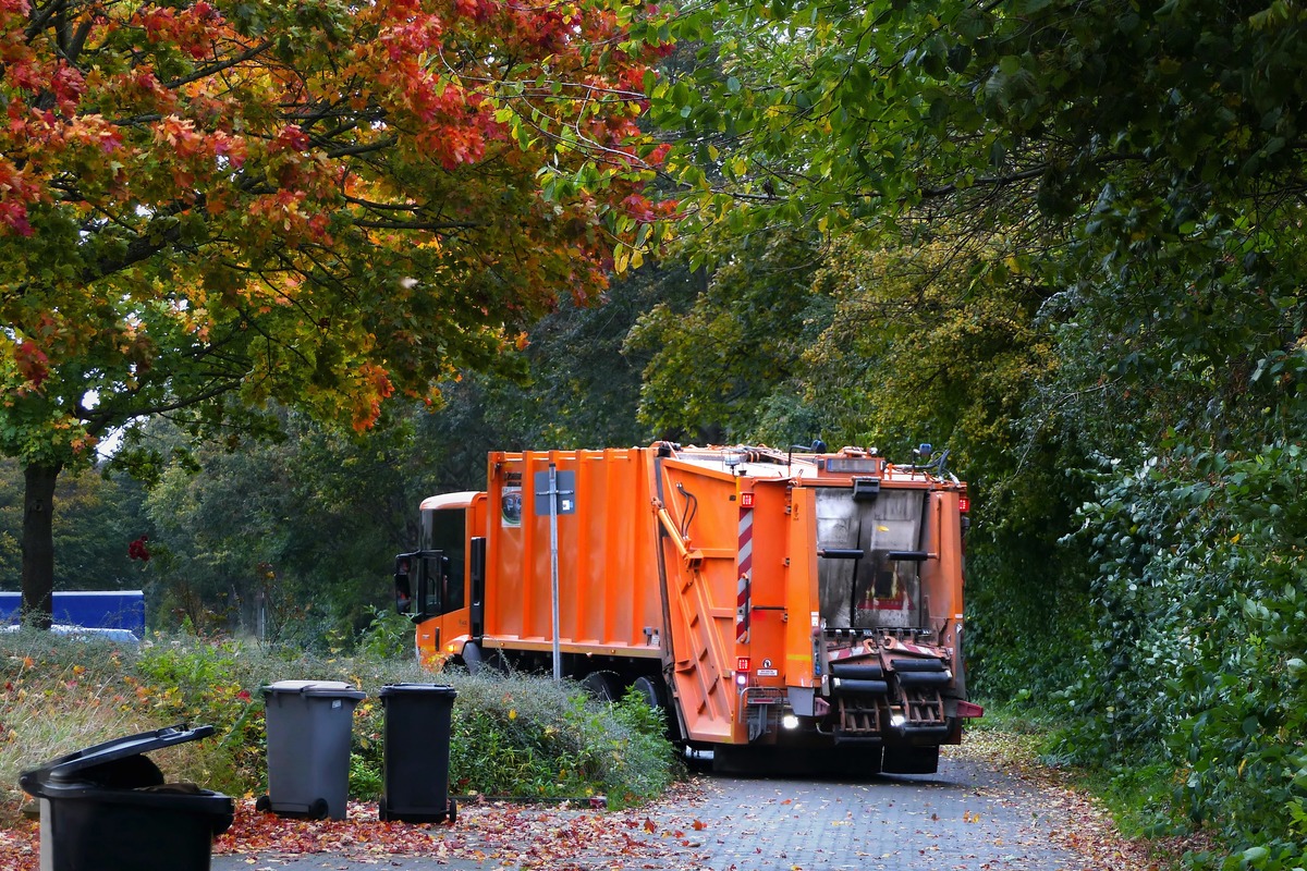 Tampa Announces Altered Garbage Collection Schedule Over New Year's Holiday, Christmas Tree Pickup Details Released