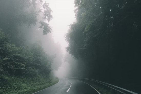 Tampa Motorists Advised Caution as Dense Fog Advisory Issued in Southwest and West Central Florida