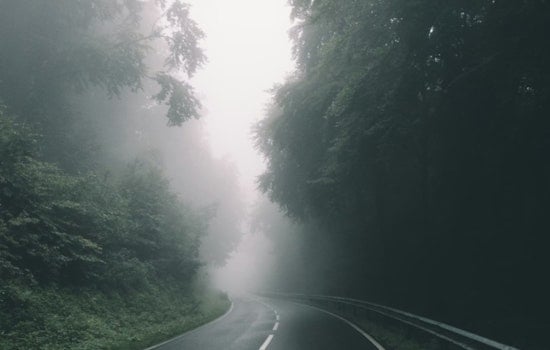 Tampa Motorists Advised Caution as Dense Fog Advisory Issued in Southwest and West Central Florida
