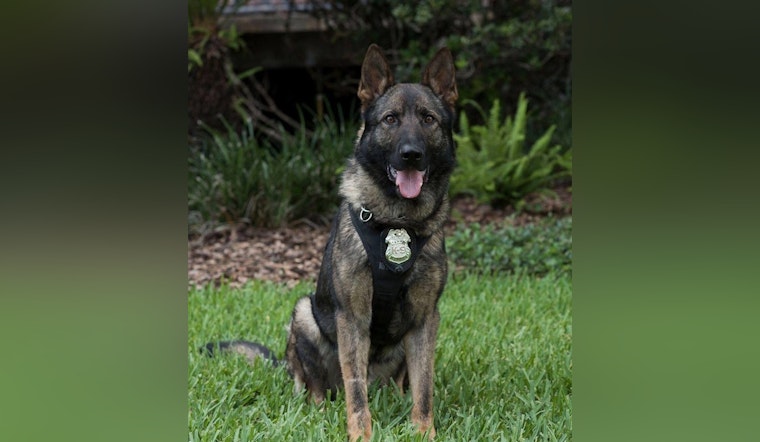 Tampa Police Department Mourns the Loss of Beloved Retired K9 Sniper
