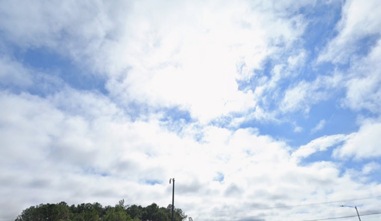 Tampa Residents Enjoy Mild Weather with a Slight Chance of Showers and a Sunny Weekend Ahead
