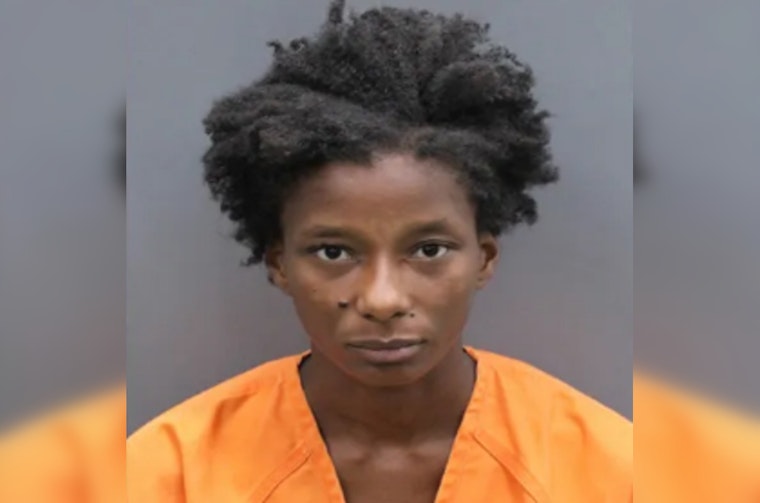 Tampa Woman Arrested for Resisting Officer and Walking Dog on I-275 After Prior Warning