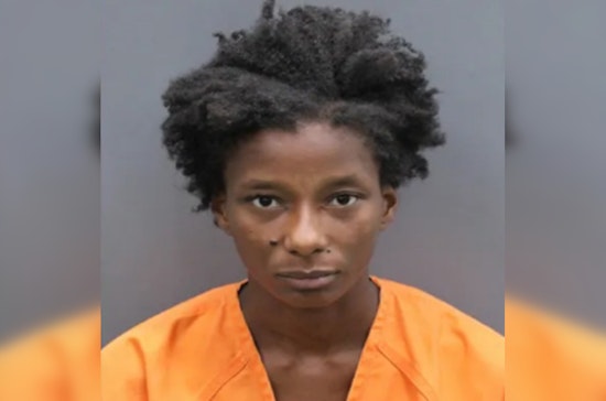 Tampa Woman Arrested for Resisting Officer and Walking Dog on I-275 After Prior Warning