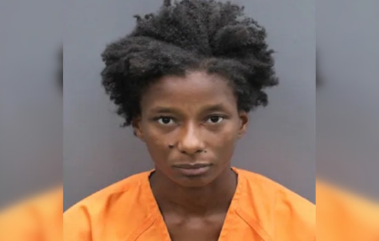 Tampa Woman Arrested for Resisting Officer and Walking Dog on I-275 After Prior Warning