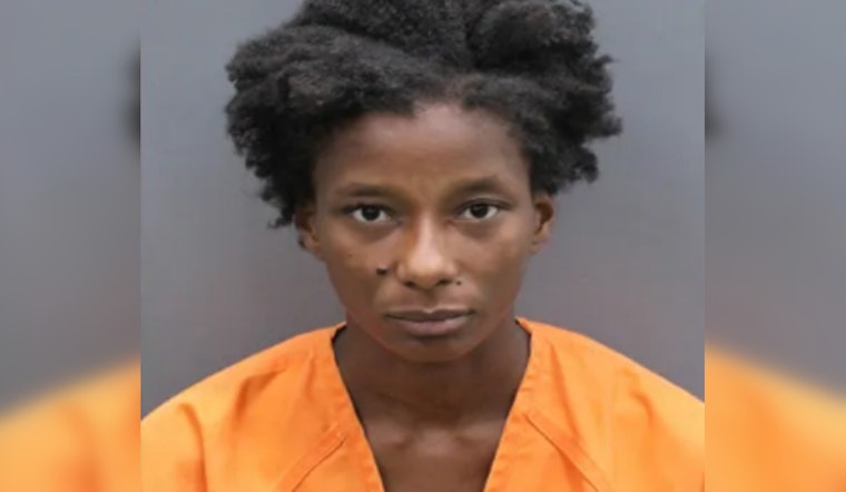 Tampa Woman Arrested for Resisting Officer and Walking Dog on I-275 After Prior Warning