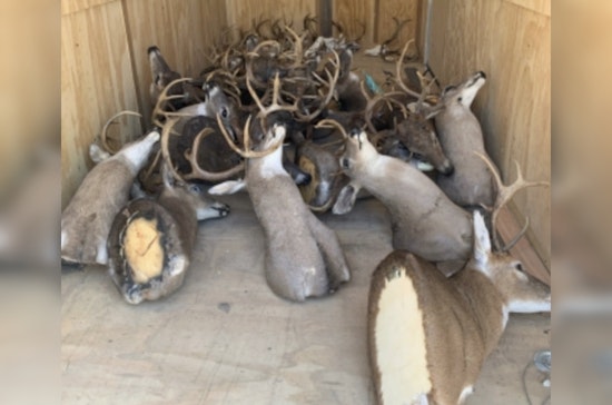 Tennessee Poachers Sentenced to Prison and Lifetime Hunting Ban for Wildlife Violations in Wilson and Rutherford Counties