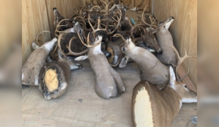 Tennessee Poachers Sentenced to Prison and Lifetime Hunting Ban for