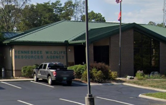 Tennessee's Spring Turkey Quota Hunts Application Period Set for Dec 17-Jan 7, TWRA Announces