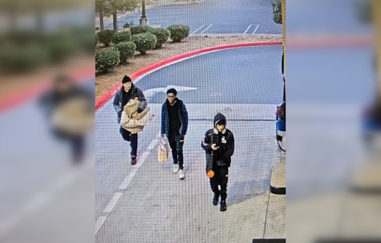 Thanksgiving Day Heist at Great Wolf Lodge in Manteca Leaves 48 Vehicles Burglarized, Suspects at Large