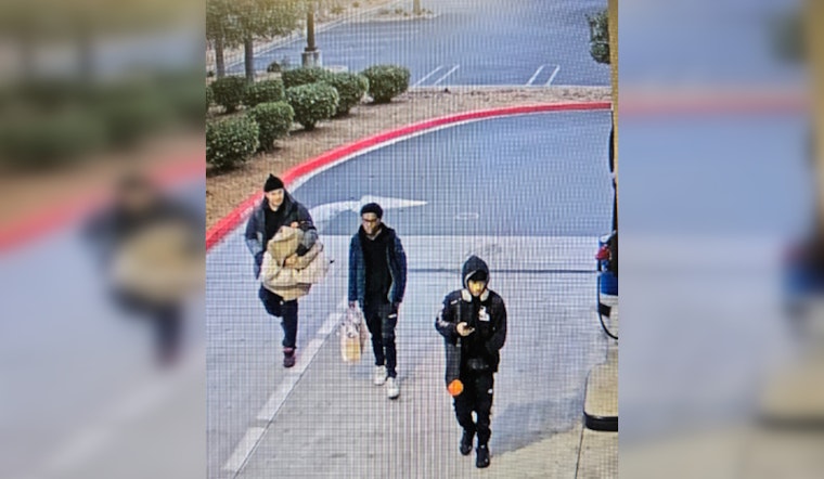 Thanksgiving Day Heist at Great Wolf Lodge in Manteca Leaves 48 Vehicles Burglarized, Suspects at Large