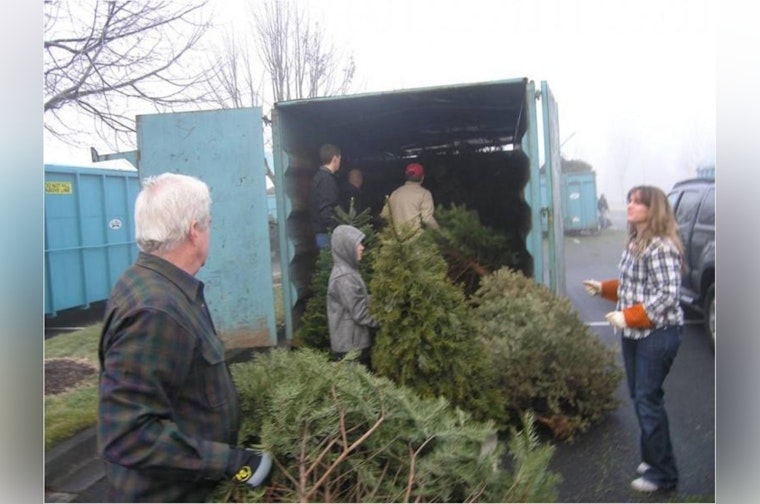 Thurston County Offers Free and Eco-Friendly Christmas Tree Recycling Options