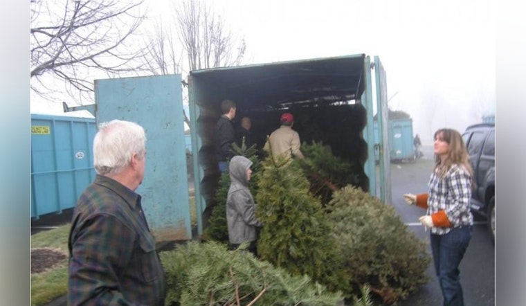 Thurston County Offers Free and Eco-Friendly Christmas Tree Recycling Options