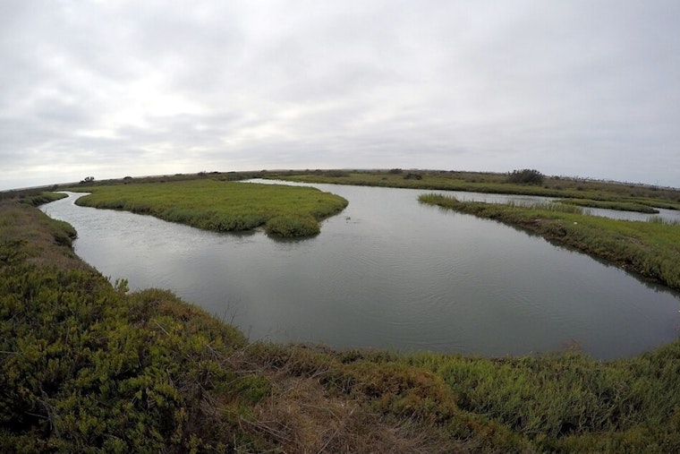 Tijuana Sewer Break Drenches South Bay in Reeking Mess