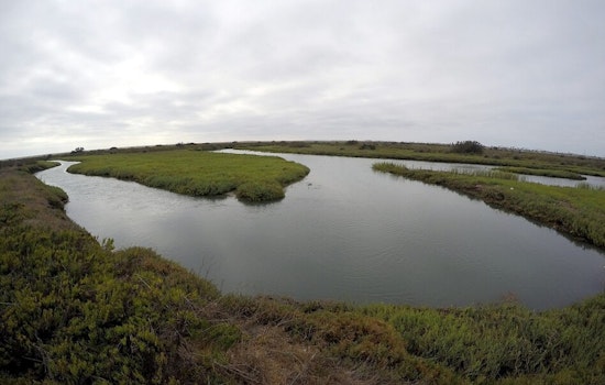 Tijuana Sewer Break Drenches South Bay in Reeking Mess