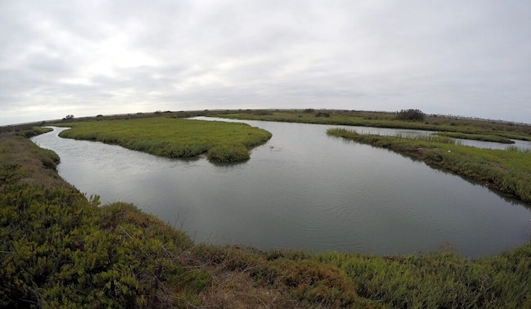 Tijuana Sewer Break Drenches South Bay in Reeking Mess
