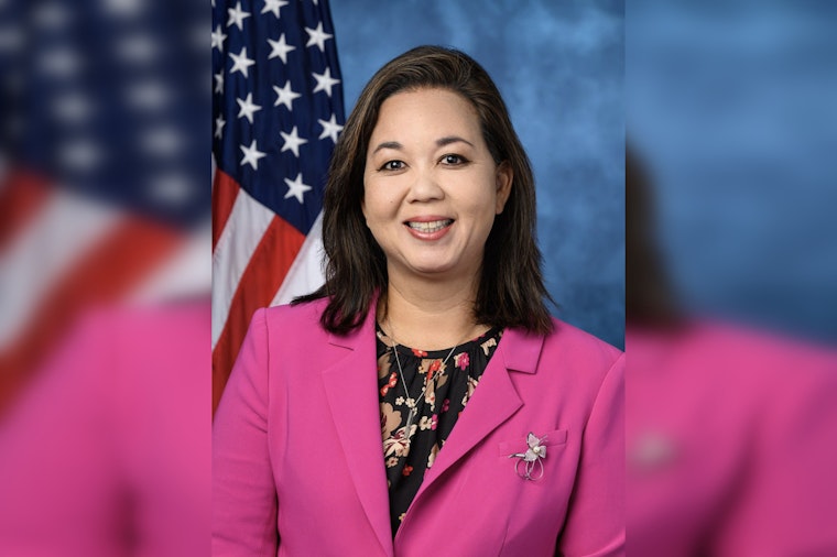 Tokuda Takes Aim at Honolulu’s ‘Zombie Guns’ With Smash-and-Melt Bill