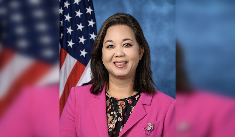 Tokuda Takes Aim at Honolulu’s ‘Zombie Guns’ With Smash-and-Melt Bill
