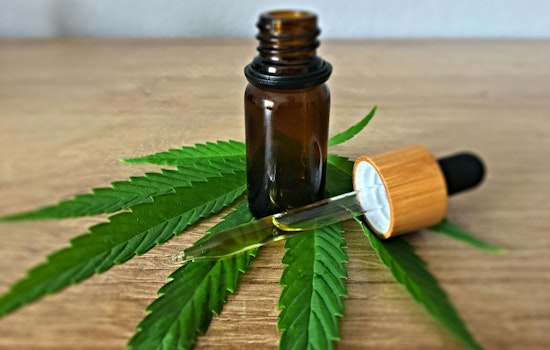 Trump’s Weed Shake-Up Lands, Chicago Asks What Really Changes