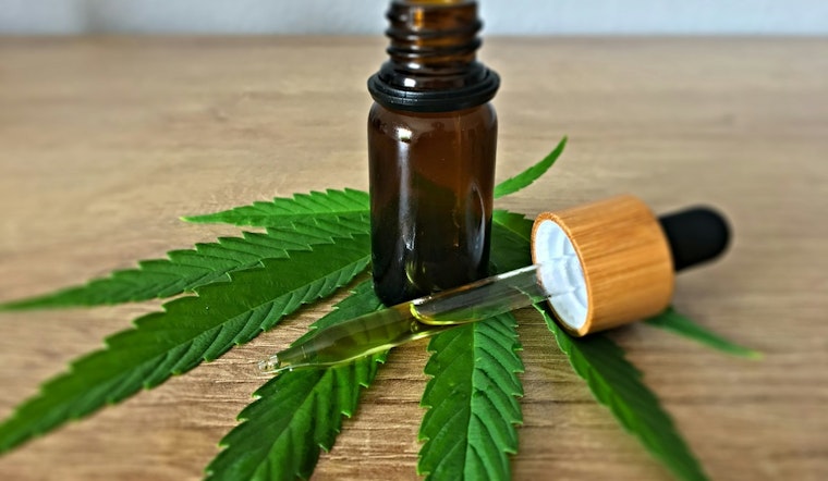 Trump’s Weed Shake-Up Lands, Chicago Asks What Really Changes
