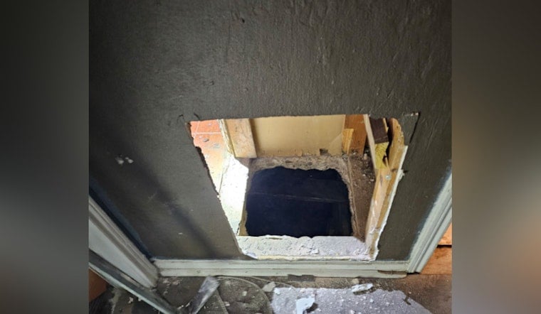 Tunnels, Drugs And Guns, Cops Bust Secret South Belt Hideout Under Suburban Home