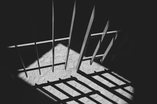 Two Men Sentenced to Life Without Parole for Murder of Rochester Hills Jeweler Hussein Murray