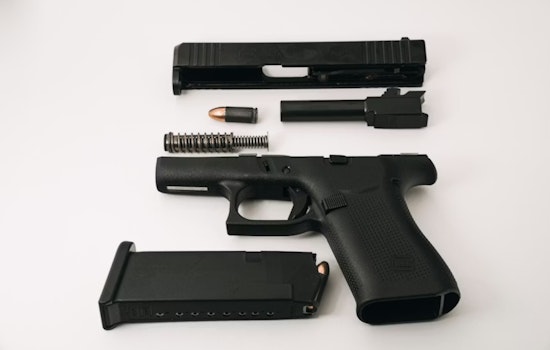 UCSD Study Sounds Alarm on Guns in Abusive Relationships
