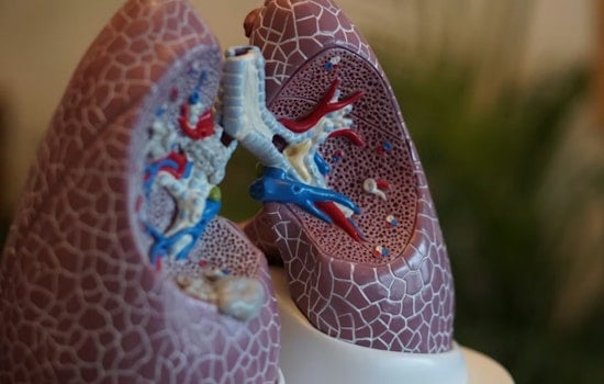 University of Cincinnati Nephrologists Report Promising Advances in Treatment Guidelines for Kidney Diseases