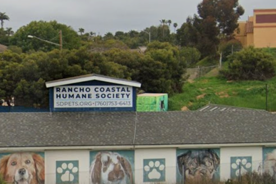 Unleash the Fun: San Diego's Rancho Coastal Humane Society Hosts Adults-Only Animal Camp with Wine and Puppies