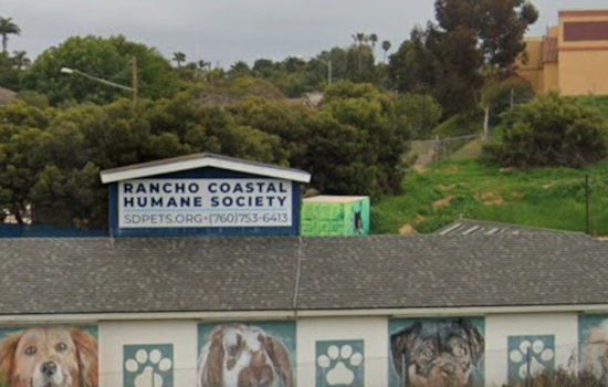 Unleash the Fun: San Diego's Rancho Coastal Humane Society Hosts Adults-Only Animal Camp with Wine and Puppies